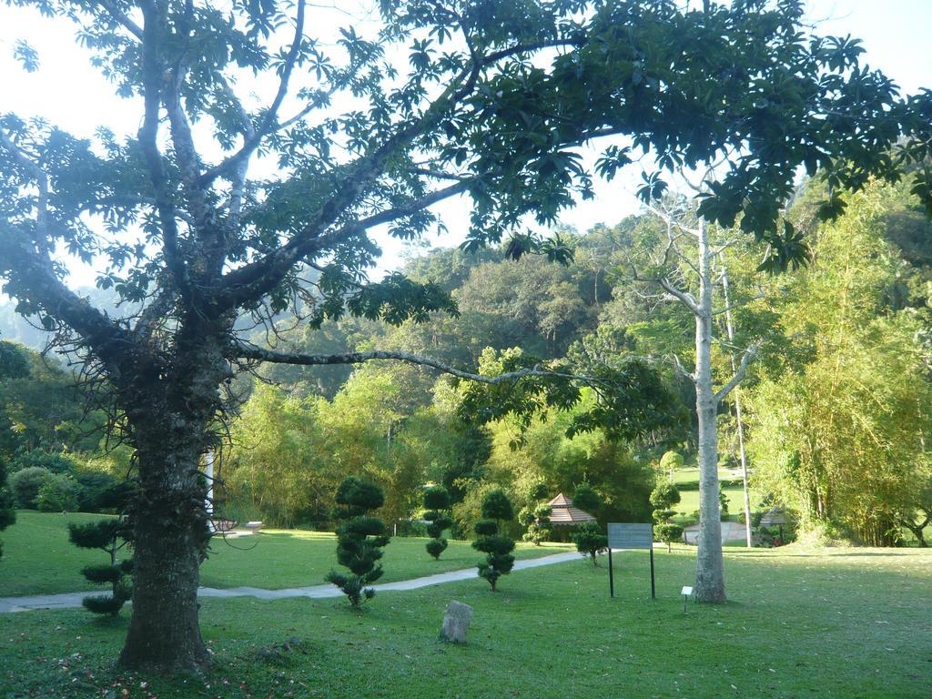 ג'ורג' טאון Cozy Mount Erskine Homestay מראה חיצוני תמונה